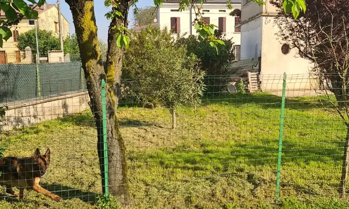 Rexer-Sabbioneta-Casa-singola-in-via-Claudio-Monteverdi-a-Ponteterra-di-Sabbionetta-Giardino