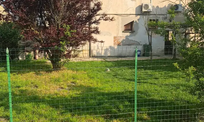 Rexer-Sabbioneta-Casa-singola-in-via-Claudio-Monteverdi-a-Ponteterra-di-Sabbionetta-Giardino