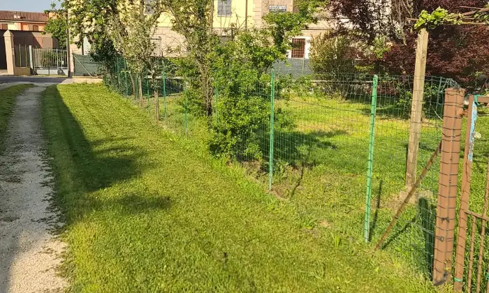 Rexer-Sabbioneta-Casa-singola-in-via-Claudio-Monteverdi-a-Ponteterra-di-Sabbionetta-Giardino