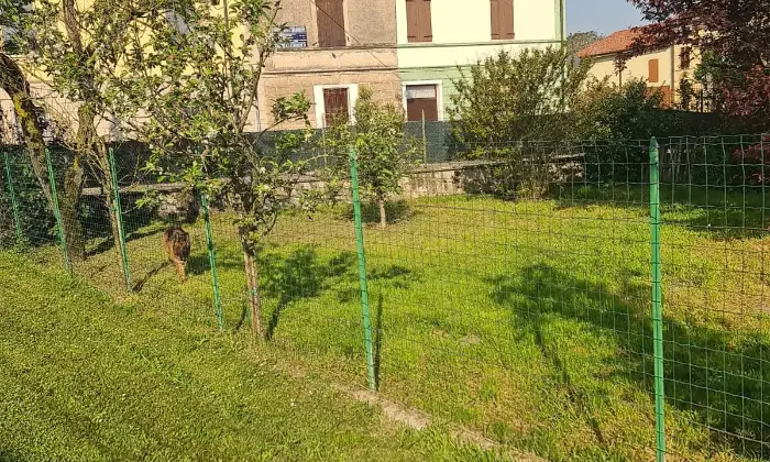 Rexer-Sabbioneta-Casa-singola-in-via-Claudio-Monteverdi-a-Ponteterra-di-Sabbionetta-Giardino