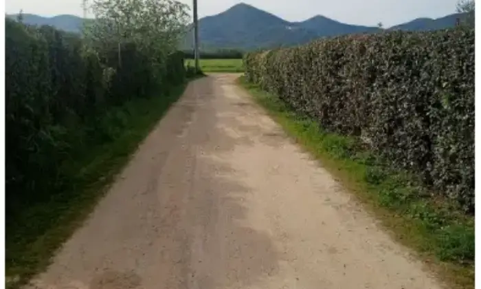 Rexer-Scarlino-Terreno-in-vendita-in-Le-Caldane-a-Scarlino-Terrazzo