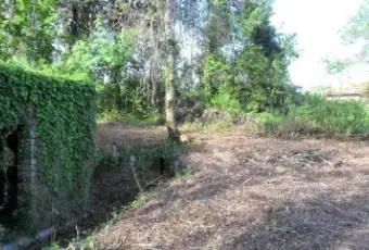 Rexer-Cave-Villa-unifamiliare-Via-DellAgricoltura-Cave-Giardino