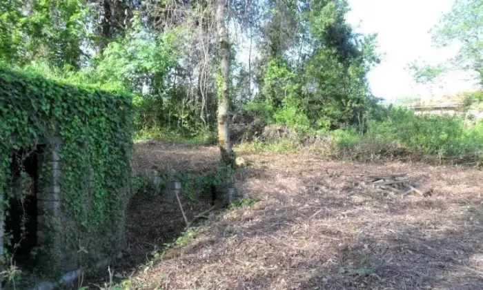 Rexer-Cave-Villa-unifamiliare-Via-DellAgricoltura-Cave-Giardino