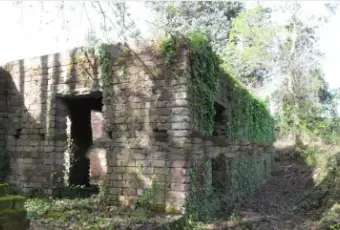 Rexer-Cave-Villa-unifamiliare-Via-DellAgricoltura-Cave-Giardino
