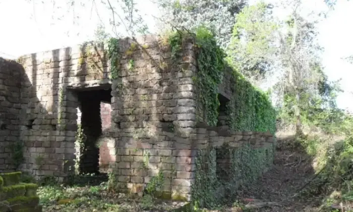 Rexer-Cave-Villa-unifamiliare-Via-DellAgricoltura-Cave-Giardino