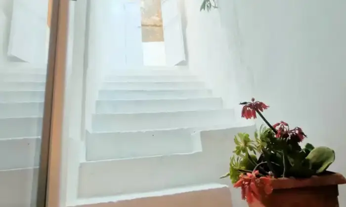 Rexer-Cagliari-Elegante-Residenza-San-giovanni-centralissima-Altro