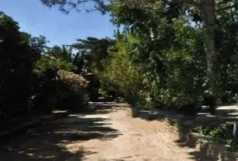 Rexer-Stintino-Villa-unifamiliare-buono-stato-m-Stintino-Terrazzo
