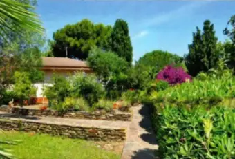 Rexer-Stintino-Villa-unifamiliare-buono-stato-m-Stintino-Giardino