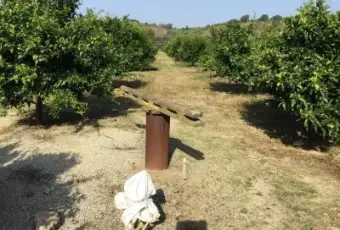 Rexer-San-Calogero-Azienda-agricola-in-vendita-in-SP-a-San-Calogero-Giardino