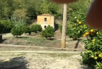 Rexer-San-Calogero-Azienda-agricola-in-vendita-in-SP-a-San-Calogero-Terrazzo