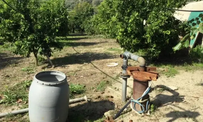 Rexer-San-Calogero-Azienda-agricola-in-vendita-in-SP-a-San-Calogero-Terrazzo