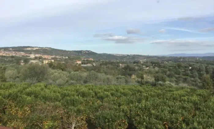 Rexer-San-Calogero-Azienda-agricola-in-vendita-in-SP-a-San-Calogero-Terrazzo