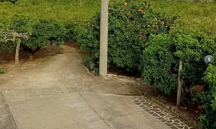 Rexer-San-Calogero-Azienda-agricola-in-vendita-in-SP-a-San-Calogero-Terrazzo