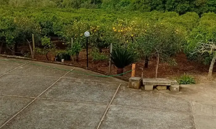 Rexer-San-Calogero-Azienda-agricola-in-vendita-in-SP-a-San-Calogero-Terrazzo