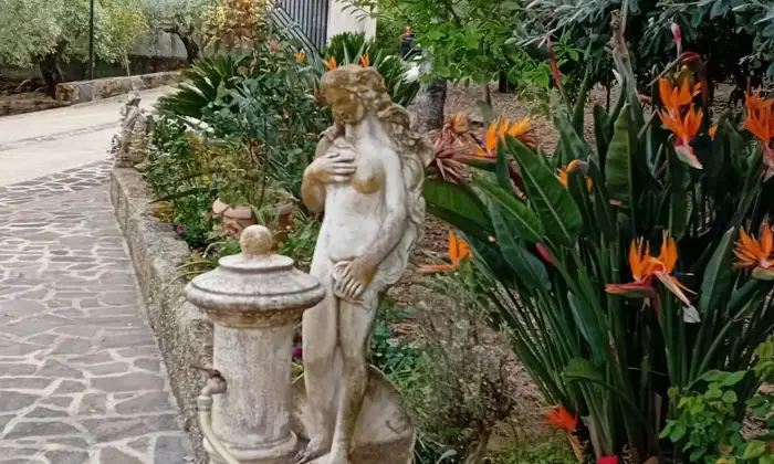 Rexer-San-Calogero-Azienda-agricola-in-vendita-in-SP-a-San-Calogero-Giardino