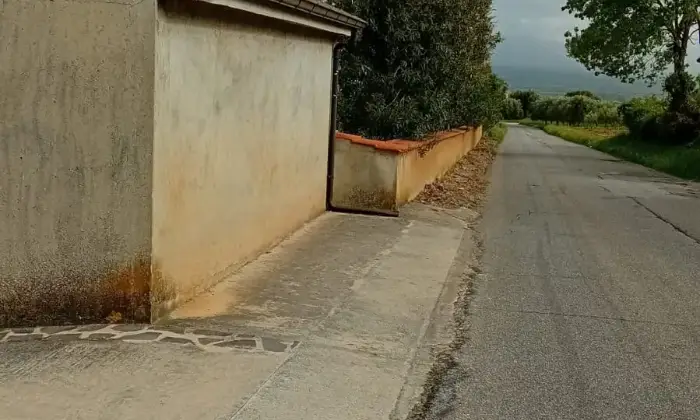 Rexer-San-Calogero-Azienda-agricola-in-vendita-in-SP-a-San-Calogero-Terrazzo
