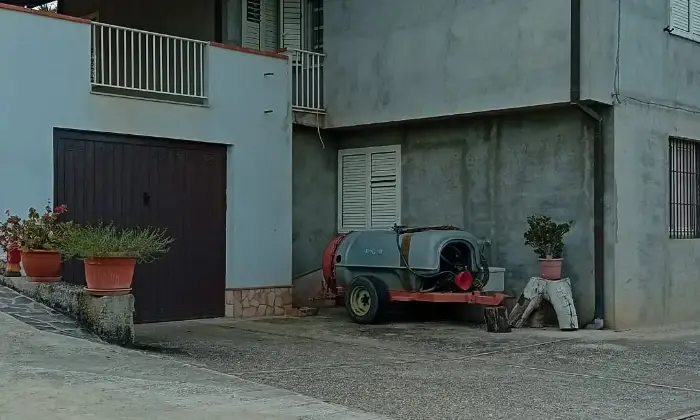 Rexer-San-Calogero-Azienda-agricola-in-vendita-in-SP-a-San-Calogero-Terrazzo