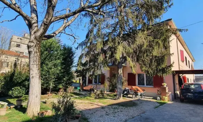 Rexer-Pegognaga-Splendida-casa-semi-indipendente-con-giardino-Giardino