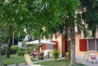 Rexer-Pegognaga-Splendida-casa-semi-indipendente-con-giardino-Giardino