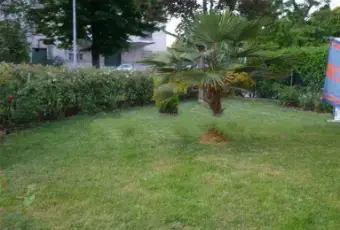 Rexer-Pegognaga-Splendida-casa-semi-indipendente-con-giardino-Giardino