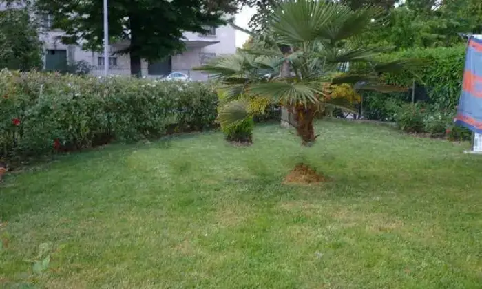 Rexer-Pegognaga-Splendida-casa-semi-indipendente-con-giardino-Giardino