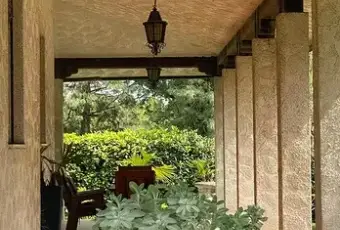 Rexer-Preganziol-Vendesi-villa-a-PREGANZIOL-Terrazzo