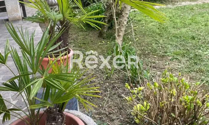 Rexer-Preganziol-Vendesi-villa-a-PREGANZIOL-Altro