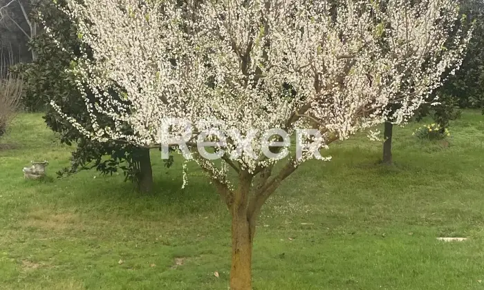 Rexer-Preganziol-Vendesi-villa-a-PREGANZIOL-Altro
