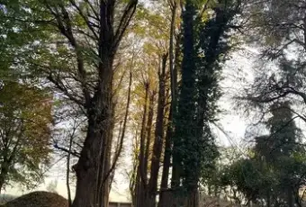 Rexer-Mogliano-Veneto-Vendesi-due-edifici-indipendenti-con-terreno-edificabileMOGLIANO-VENETO-Terrazzo