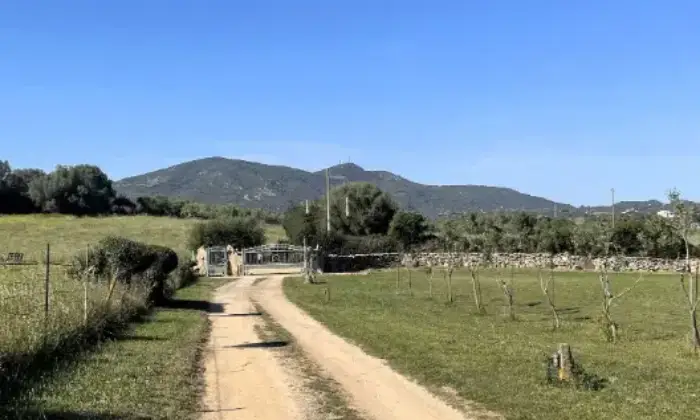 Rexer-Olbia-Villa-in-vendita-in-via-Erpice-ad-Olbia-Terrazzo