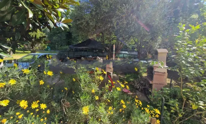 Rexer-Collesalvetti-Trilocale-via-delle-QuerceCollesalvetti-Giardino
