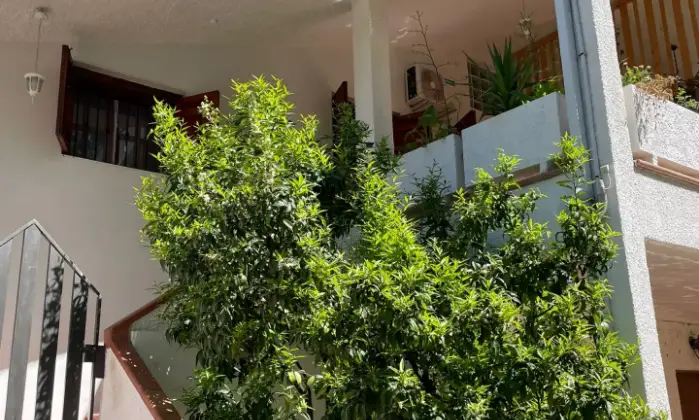 Rexer-Silvi-Appartamento-In-Contrada-Canale-a-Silvi-TE-TERRAZZO