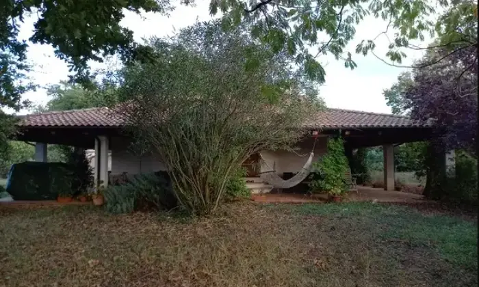 Rexer-Manciano-Venesi-AzAGRICOLA-PRESSO-TERME-DI-SATURNIA-a-MANCIANO-Giardino