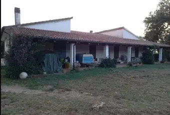 Rexer-Manciano-Venesi-AzAGRICOLA-PRESSO-TERME-DI-SATURNIA-a-MANCIANO-Giardino