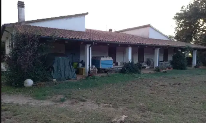 Rexer-Manciano-Venesi-AzAGRICOLA-PRESSO-TERME-DI-SATURNIA-a-MANCIANO-Giardino