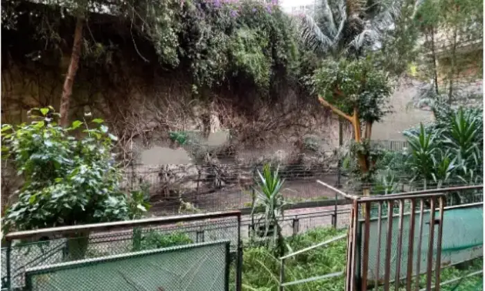 Rexer-Messina-Vendesi-appartamento-in-Viale-dei-Tigli-a-Messina-Giardino