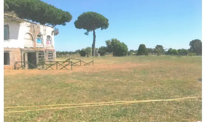 Rexer-Latina-Casale-Altro