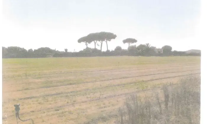 Rexer-Latina-Casale-Altro