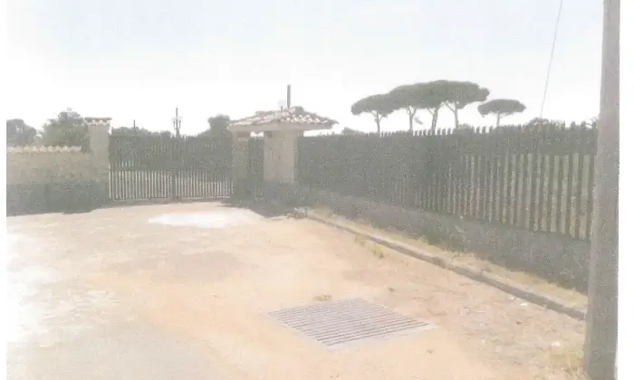 Rexer-Latina-Casale-Altro