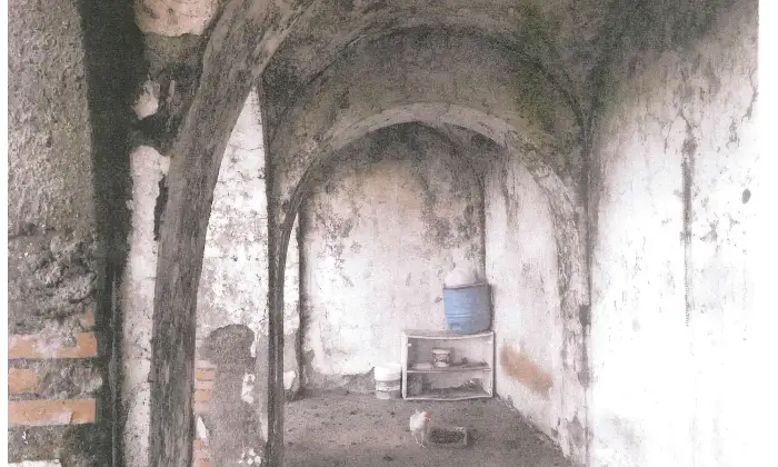 Rexer-Latina-Casale-Altro