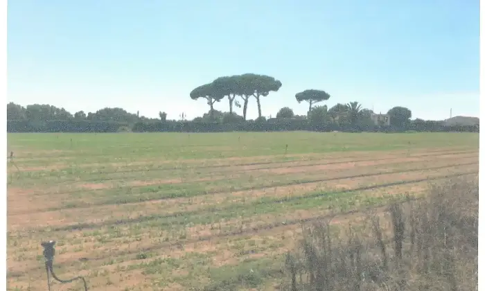 Rexer-Latina-Casale-Altro