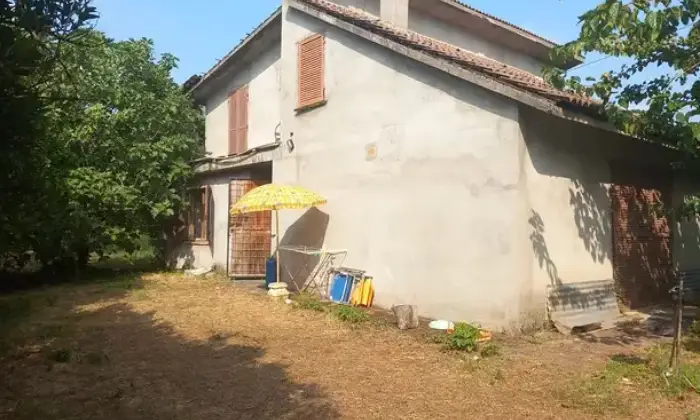 Rexer-Feroleto-della-Chiesa-Casa-con-terreno-in-vendita-a-FEROLETO-DELLA-CHIESA-RC-Giardino
