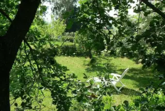 Rexer-Scarlino-Vendesi-Terratetto-in-Localit-La-Forcola-a-Scarlino-Terrazzo