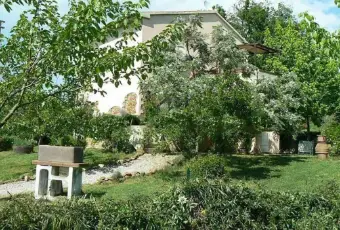 Rexer-Scarlino-Vendesi-Terratetto-in-Localit-La-Forcola-a-Scarlino-Giardino