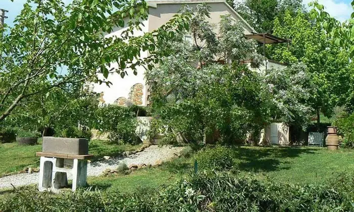 Rexer-Scarlino-Vendesi-Terratetto-in-Localit-La-Forcola-a-Scarlino-Giardino