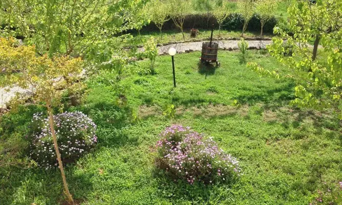 Rexer-Scarlino-Vendesi-Terratetto-in-Localit-La-Forcola-a-Scarlino-Giardino