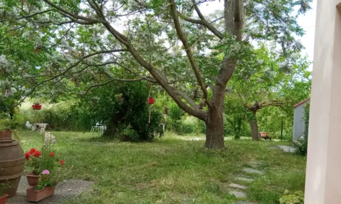 Rexer-Scarlino-Vendesi-Terratetto-in-Localit-La-Forcola-a-Scarlino-Giardino