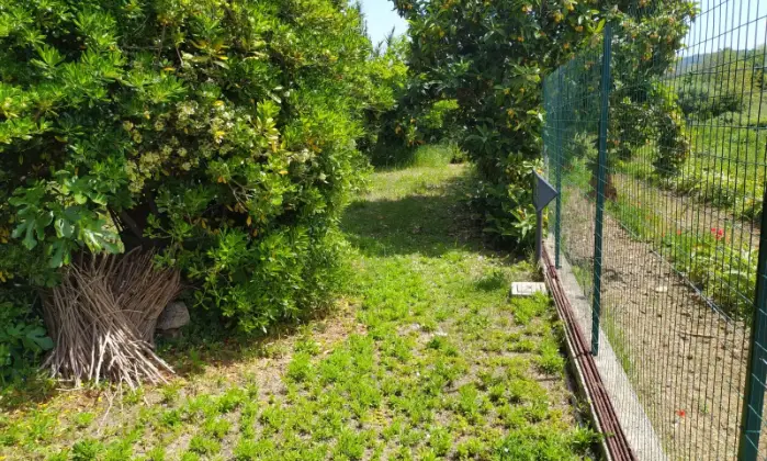 Rexer-Francavilla-al-Mare-Terratetto-con-depandance-e-giardino-GIARDINO