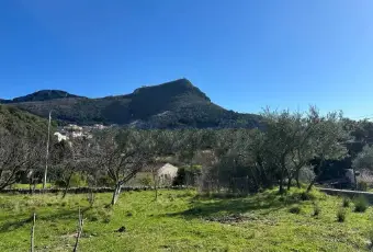 Rexer-Maratea-Vendesi-Cascina-Strada-Provinciale-Tirrena-Centro-Maratea-Terrazzo