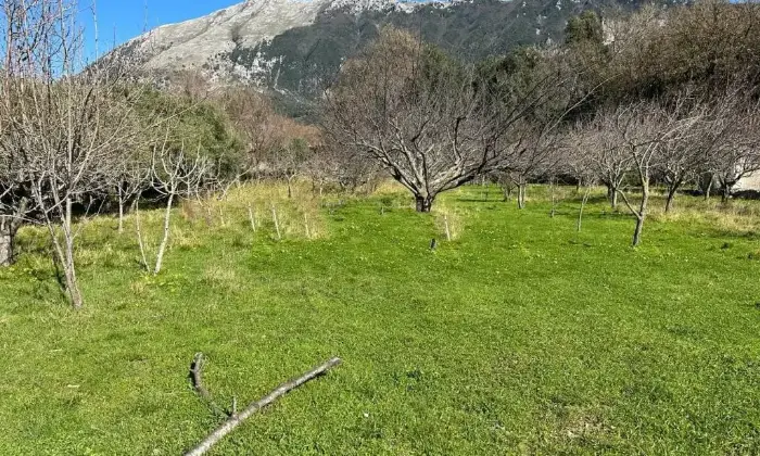 Rexer-Maratea-Vendesi-Cascina-Strada-Provinciale-Tirrena-Centro-Maratea-Terrazzo